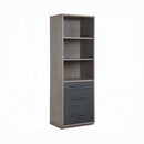 Estevon Bookcase