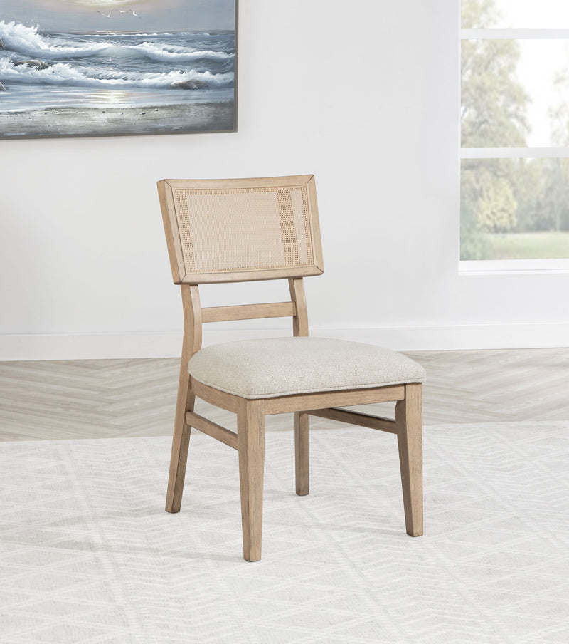 Kailani Side Chair - Furniture Center (NY)