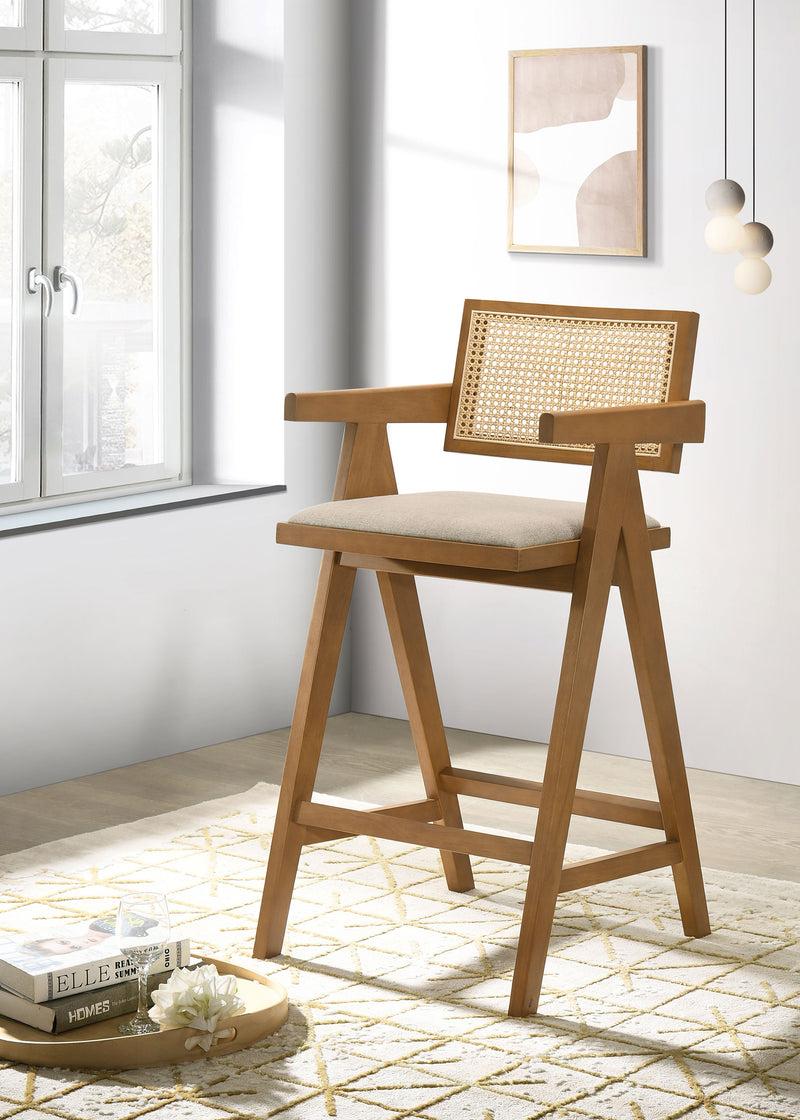 Kane Bar Stool - Furniture Center (NY)