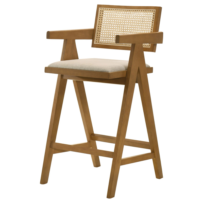 Kane Bar Stool - Furniture Center (NY)