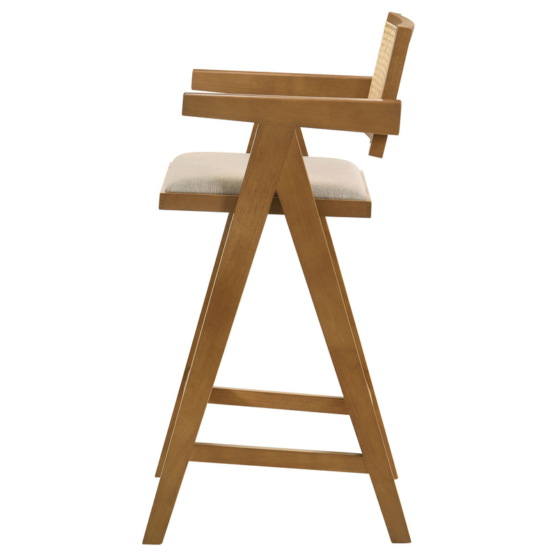 Kane Bar Stool - Furniture Center (NY)