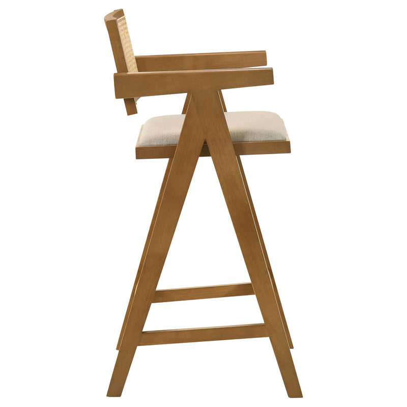 Kane Bar Stool - Furniture Center (NY)