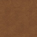 Carianna Sofa - Furniture Center (NY)
