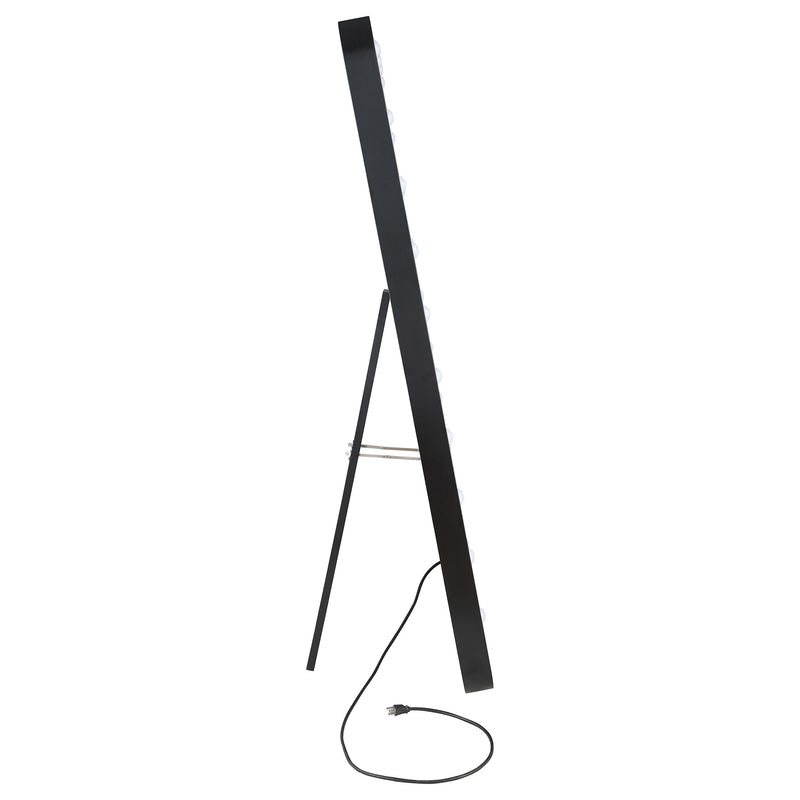 Canton Standing Mirror - Furniture Center (NY)