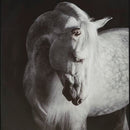 Archerwick Wall Art - Furniture Center (NY)