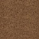 Bolsena Sofa Sleeper - Furniture Center (NY)