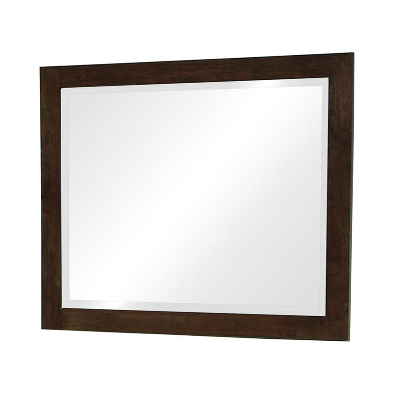 Jessica Rectangular Wall Dresser Mirror Cappuccino - Furniture Center (NY)