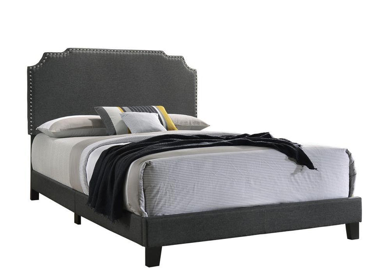Tamarac Upholstered Nailhead Queen Bed Grey - Furniture Center (NY)