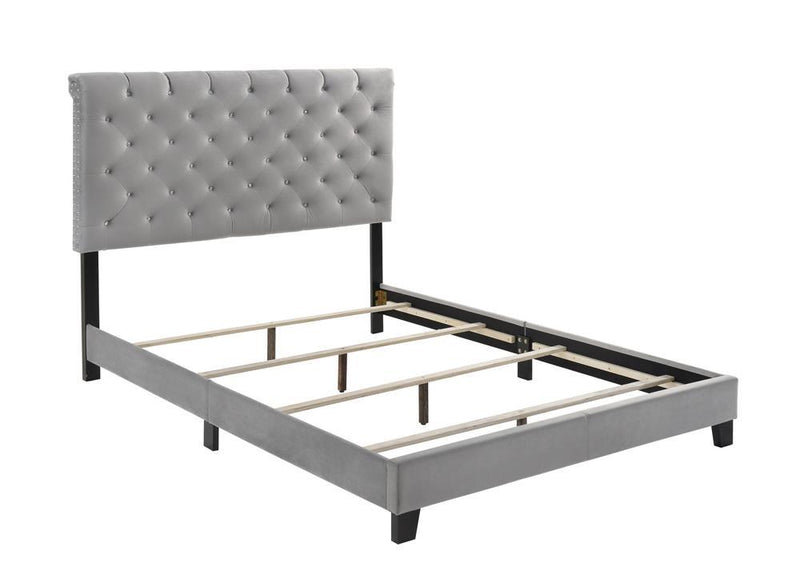 Warner Eastern King Upholstered Bed Grey - Furniture Center (NY)