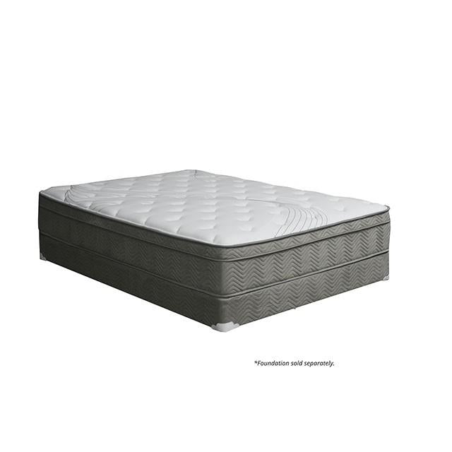 Afton 12 Euro Box Pocket Coil - Furniture Center (NY)