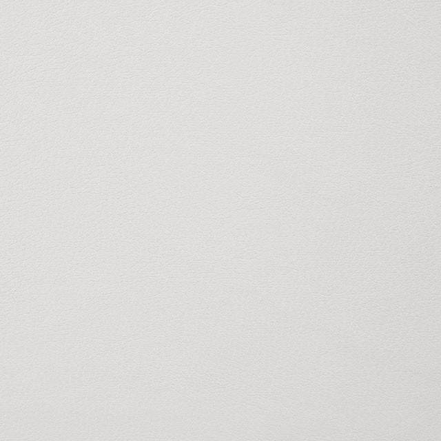 ALISHA Side Chair (2/CTN) - Furniture Center (NY)