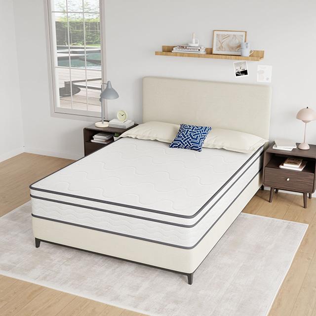 Catmint 10" Full Innerspring Mattress - Furniture Center (NY)