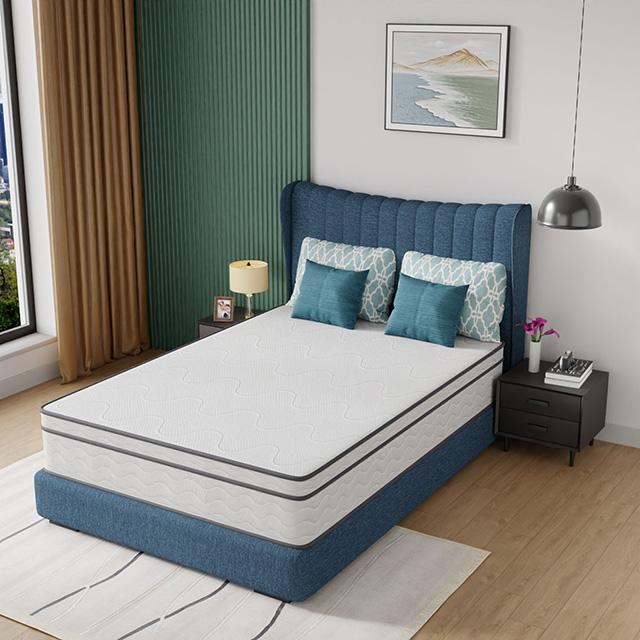 Catmint 12" Full Innerspring Mattress - Furniture Center (NY)