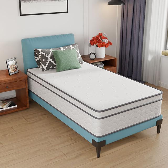 Catmint 12" Twin Innerspring Mattress - Furniture Center (NY)
