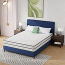 Catmint Mattress - Furniture Center (NY)