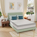 Catmint Mattress - Furniture Center (NY)
