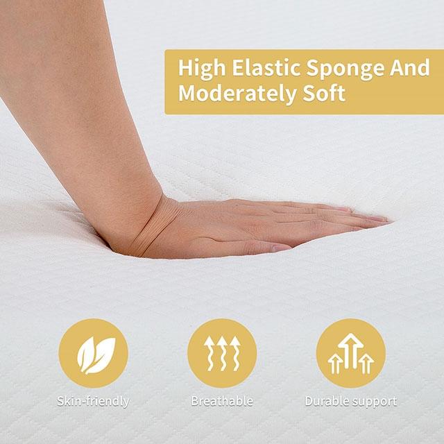 Artemisia 8" Memory Foam Mattress - Furniture Center (NY)