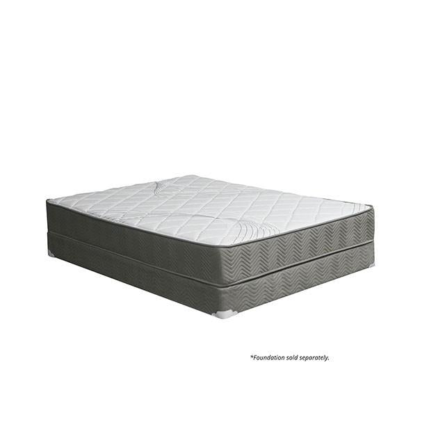 Edrea 10 Tight Top Pocket Coil - Furniture Center (NY)