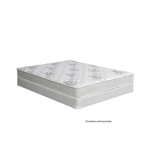 Elbertyna 8 Tight Top Mattress (Non-Flip) - Furniture Center (NY)