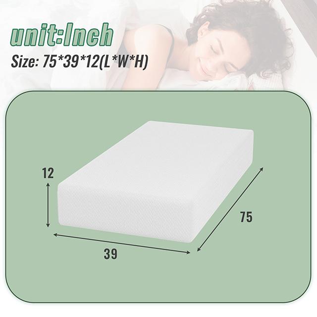 Coreopsis 12" Twin Memory Foam Wave Comfort - Furniture Center (NY)