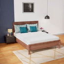 Coreopsis Mattress - Furniture Center (NY)