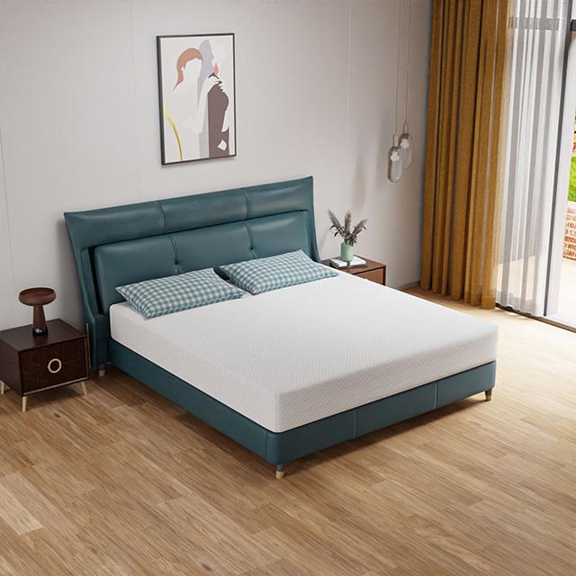 Forsythia 10" E.King Green Tea Gel Memory Foam - Furniture Center (NY)
