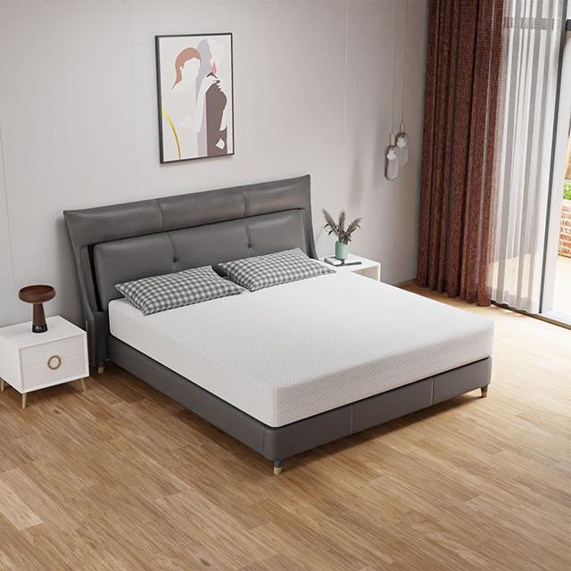 Forsythia 10" Queen Green Tea Gel Memory Foam - Furniture Center (NY)