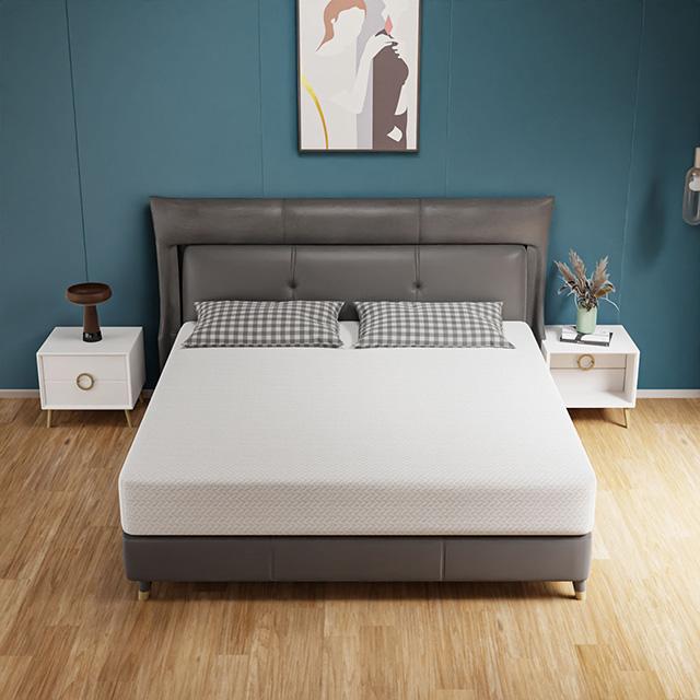 Forsythia 10" Queen Green Tea Gel Memory Foam - Furniture Center (NY)