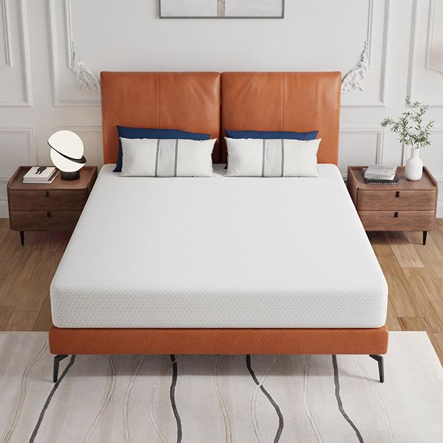 Forsythia 8" Queen Green Tea Gel Memory Foam - Furniture Center (NY)