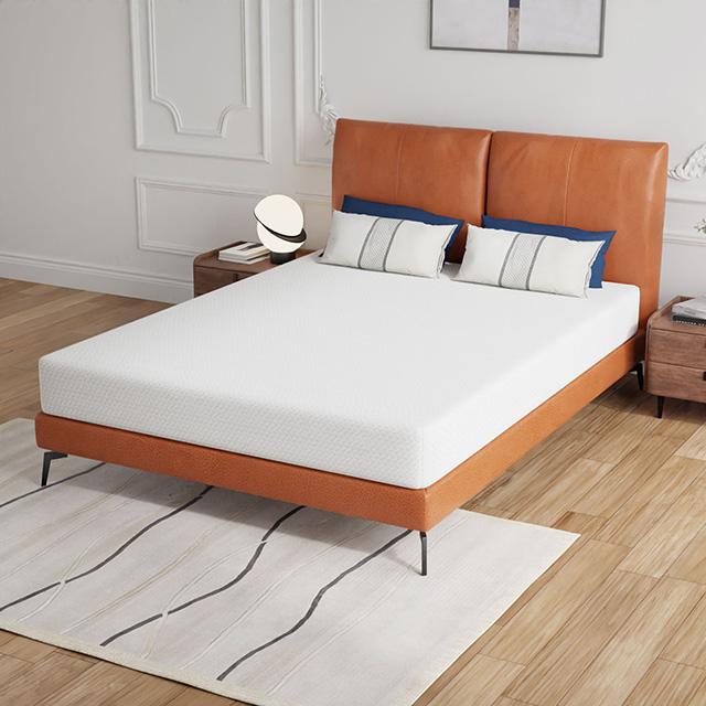 Forsythia 8" Queen Green Tea Gel Memory Foam - Furniture Center (NY)