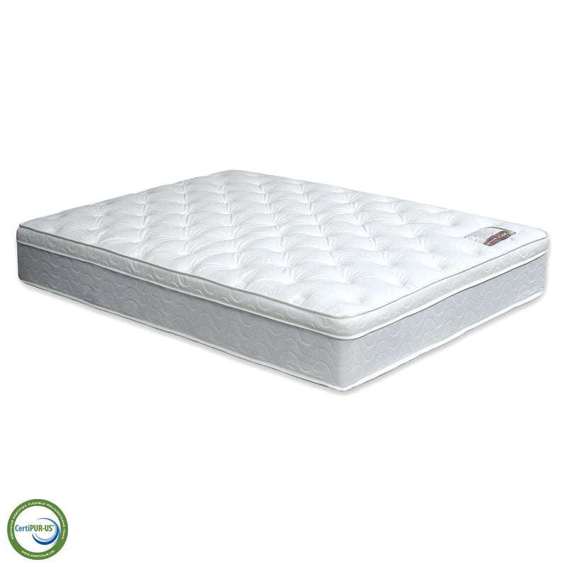 Bird Of Paradise Euro Pillow Top Mattress - Furniture Center (NY)