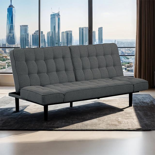 Bellevue Futon Sofa - Furniture Center (NY)