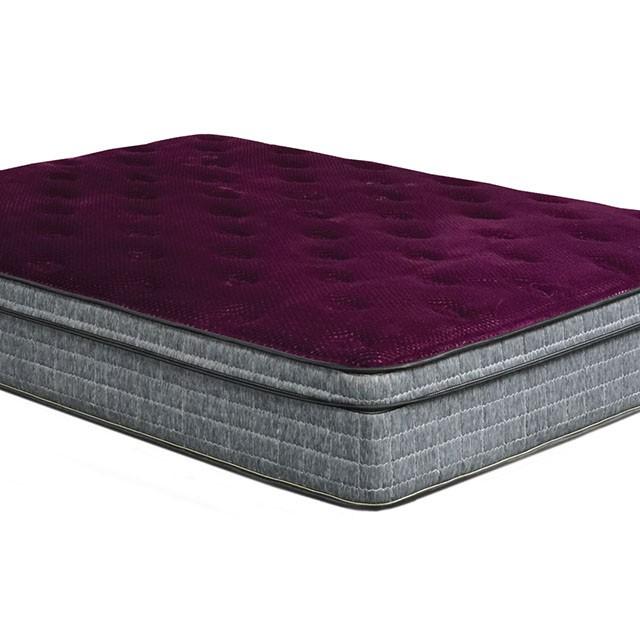 Purple/Grey 13" Euro Pillow Top Mattress Non-Flip, Full - Furniture Center (NY)