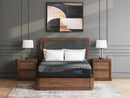 Millennium 2.0 Foam 12 Inch Mattress - Furniture Center (NY)