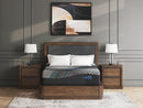 Millennium 2.0 Foam 14 Inch Mattress - Furniture Center (NY)