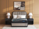 Millennium 2.0 Hybrid 14 Inch Mattress - Furniture Center (NY)