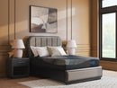 Millennium 2.0 Hybrid 14 Inch Mattress - Furniture Center (NY)