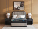 Millennium 2.0 Hybrid 16 Inch Mattress - Furniture Center (NY)