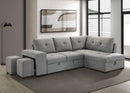 Roanne Pull-Out Sleeper Sectional Sofa