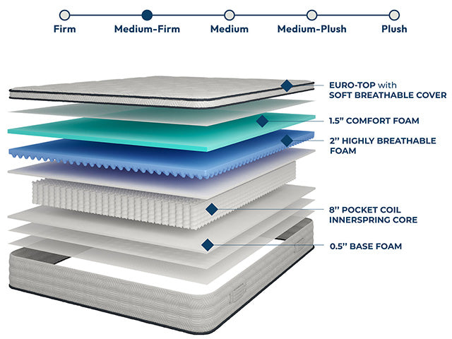 Salvia 12" Queen Hybrid Pocket Coil Mattress - Furniture Center (NY)