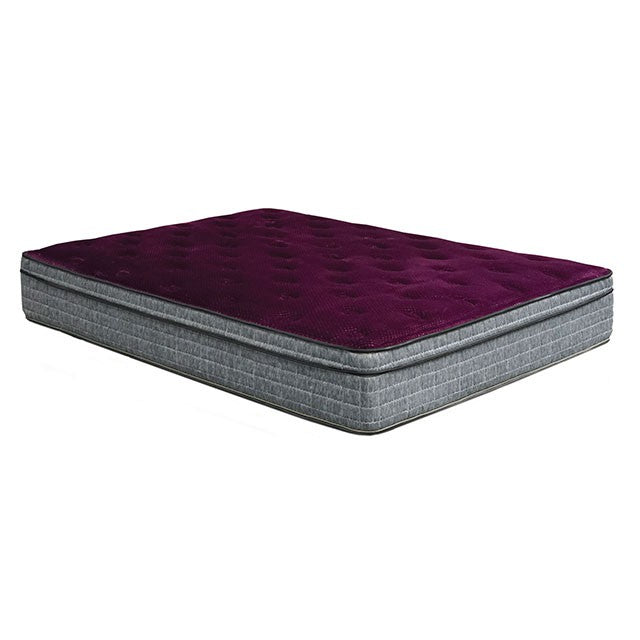Minnetonka 13" Euro Pillow Top Mattress - Furniture Center (NY)