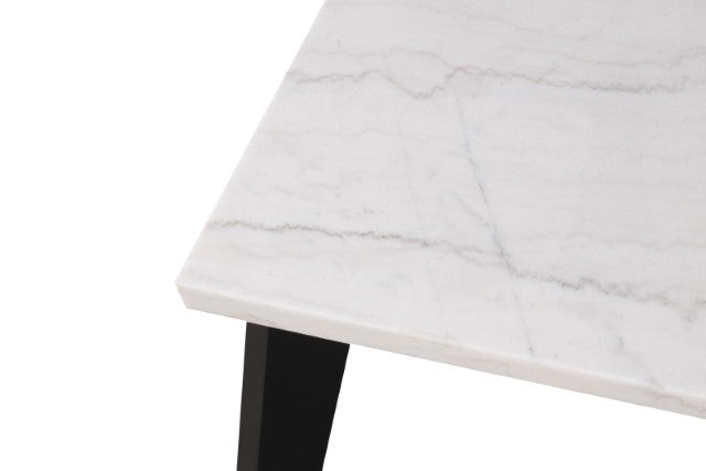 Sabro Rect Dining Table - Furniture Center (NY)