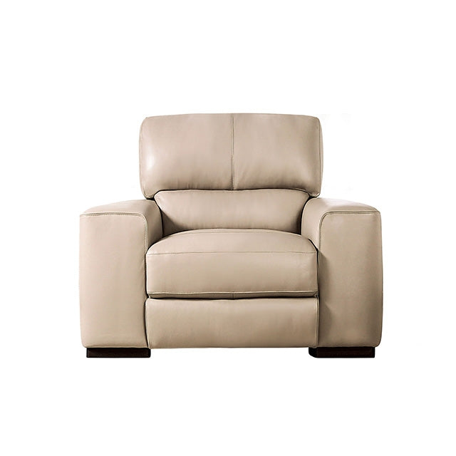 Marsicano Recliner - Furniture Center (NY)