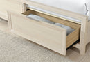 MARIAH BEIGE KING BED GROUP - Furniture Center (NY)