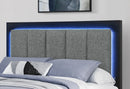 EMMA BLACK/GREY QUEEN BED GROUP - Furniture Center (NY)
